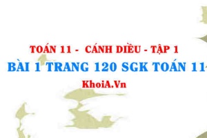 Bài 1 trang 120 SGK Toán 11 tập 1 Cánh Diều